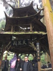 chengdu - qingcheng mountain pagoda
